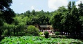 長(zhǎng)沙出發(fā)到花明樓、韶山、張家界國(guó)家森林公園、天門仙山國(guó)家森林公園四日游