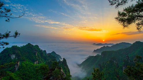 張家界森林公園（金鞭溪、袁家界、楊家界、天子山、十里畫廊）住山上2天1游（可看日出）